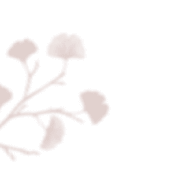 floating_image_01 https://www.nikol-michal.cz/wp-content/uploads/2020/12/floating_image_01.png