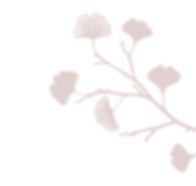 floating_image_02 https://www.nikol-michal.cz/wp-content/uploads/2020/12/floating_image_02.png