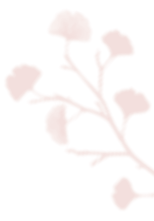 shadow_leaves_07 https://www.nikol-michal.cz/wp-content/uploads/2020/12/shadow_leaves_07.png