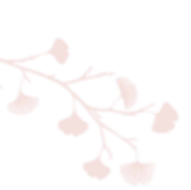 shadow_leaves_06_edited https://www.nikol-michal.cz/wp-content/uploads/2023/05/shadow_leaves_06_edited.png